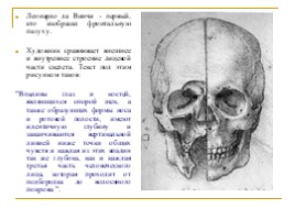 Живопись в искусстве (Леонардо Да Винчи), слайд 16