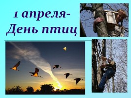 1 апреля «День птиц»