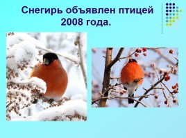 1 апреля «День птиц», слайд 20
