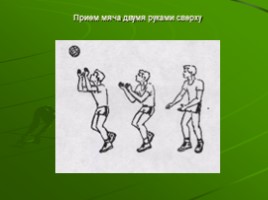 Обучение технике приема мяча (физкультура), слайд 19