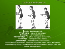 Обучение технике приема мяча (физкультура), слайд 20