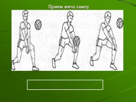 Обучение технике приема мяча (физкультура), слайд 4