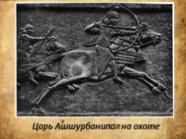 Рельефное изображение животных" ("Гармония", Копцева Т.А.), слайд 7