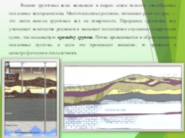 Экологические проблемы современности «Красноборская средняя школа», слайд 14