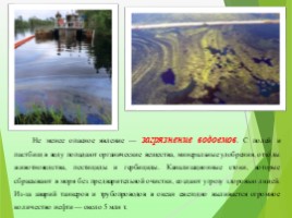Экологические проблемы современности «Красноборская средняя школа», слайд 15