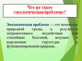 Экологические проблемы современности «Красноборская средняя школа», слайд 2