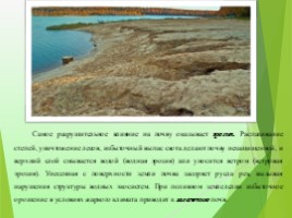 Экологические проблемы современности «Красноборская средняя школа», слайд 20