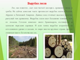 Экологические проблемы современности «Красноборская средняя школа», слайд 23
