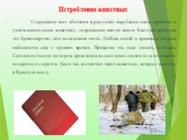 Экологические проблемы современности «Красноборская средняя школа», слайд 25