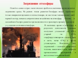 Экологические проблемы современности «Красноборская средняя школа», слайд 3