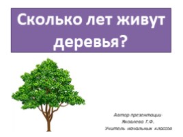 Для 2 класса "Сколько лет живут деревья?", слайд 1