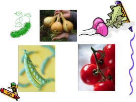 Почему нужно есть много овощей и фруктов (окружающий мир), слайд 5