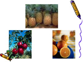 Почему нужно есть много овощей и фруктов (окружающий мир), слайд 7