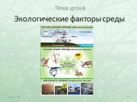 Экологические факторы среды, слайд 8