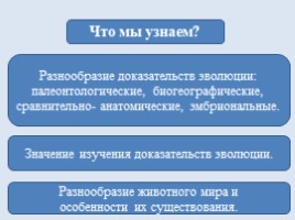 Для 7 класса "Доказательства эволюции животных", слайд 3