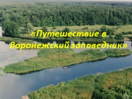 Путешествие в Воронежский заповедник, слайд 1