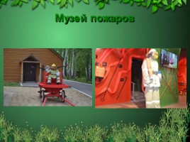 Путешествие в Воронежский заповедник, слайд 16