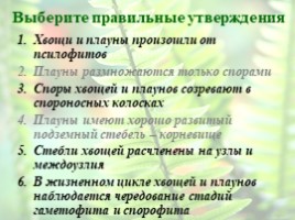 Отдел Папоротниковидные. Происхождение, особенности организации и жизненного цикла, слайд 5