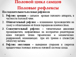 Строение половой системы сельскохозяйственных животных" Лекции, слайд 24