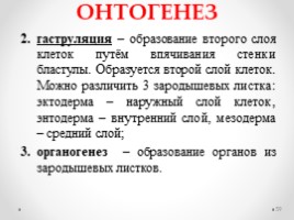 Строение половой системы сельскохозяйственных животных" Лекции, слайд 59