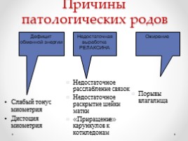 Строение половой системы сельскохозяйственных животных" Лекции, слайд 82