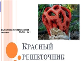 Грибы занесенные в красную книгу, слайд 1