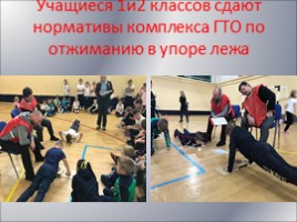 Внедрение Всероссийского физкультурно-спортивного комплекса ГТО в нашей школе., слайд 16