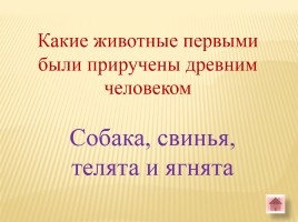 Игра-викторина «Белорусские земли в Древние времена», слайд 28