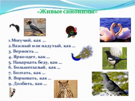 1 апреля международный день птиц, слайд 24