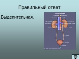 Своя игра 4 класс, внеурочная деятельность, слайд 37