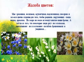 Жалобная книга природы, слайд 9