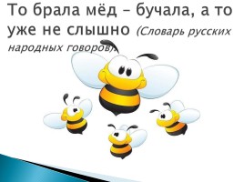 Происхождение однокоренных слов «Бык» и «Пчела» (опыт историко - лингвистического анализа), слайд 13