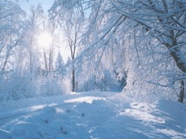 Зима в картинах русских художников, слайд 2