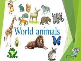 Животные (5 класс открытый урок)