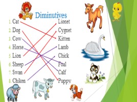Животные (5 класс открытый урок), слайд 5