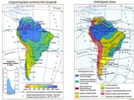 Природные зоны Южной Америки (7 класс география), слайд 5