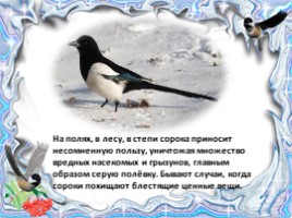 Как зимуют птицы (окружающий мир), слайд 12