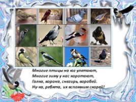 Как зимуют птицы (окружающий мир), слайд 17