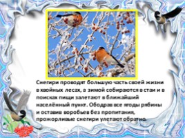 Как зимуют птицы (окружающий мир), слайд 6