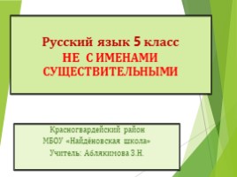 Не с именами существительными (русский язык), слайд 1