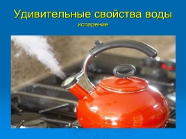 Исследовательская работа «Вода - источник жизни», слайд 13