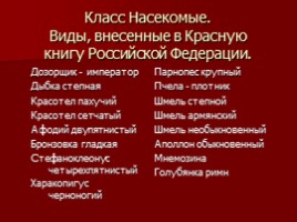 Разнообразие природы Оренбургской области, слайд 2