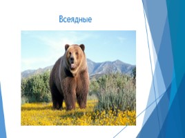 Общие сведения о животном мире (7 класс биология), слайд 25