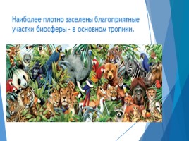 Общие сведения о животном мире (7 класс биология), слайд 8