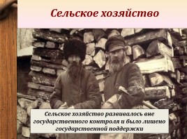Экономическое развитие России во второй половине XIX века, слайд 12