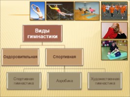 История развития гимнастики, слайд 5