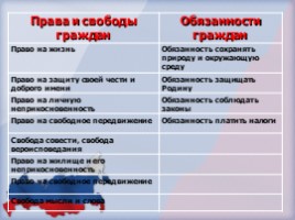 День Конституции Российской Федерации, слайд 23
