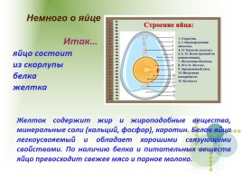 Определение свежести яйца, слайд 4