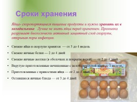 Определение свежести яйца, слайд 6