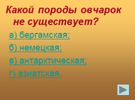 Станция фразеологическая (русский язык), слайд 20